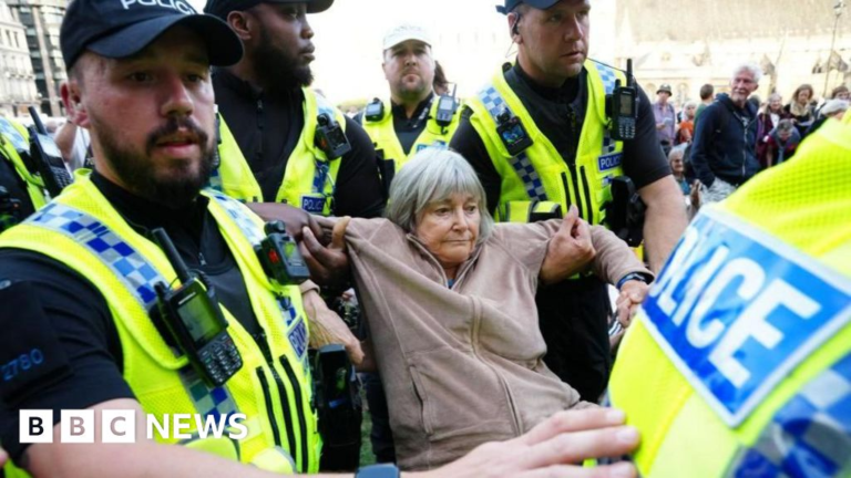 Arrests at rally against Palestine Action ban rise to 890 – BBC