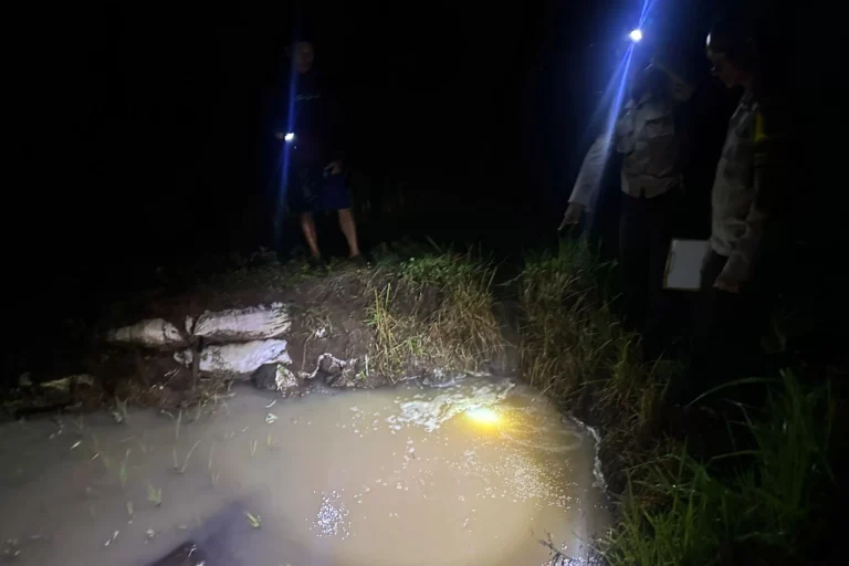 Tragis, Niat Cari Keong di Sawah, Balita di Kejayan Ditemukan Tewas Tenggelam