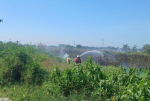 Kelalaian Pembersihan Lahan, 75 Kasus Kebakaran Landa Pasuruan Sepanjang 2026