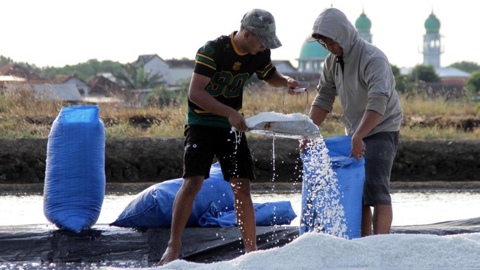 Kejar Target Swasembada 2027, Produksi Garam Rakyat di Pasuruan Mulai Digenjot